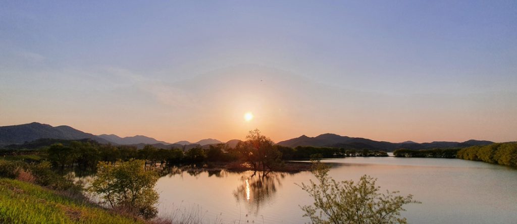 창원 주남저수지